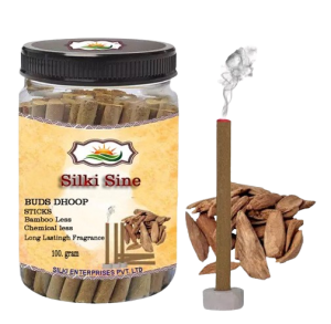 WhatsApp_Image_2024-03-28_at_14.51.49_13e3ff39-removebg-preview