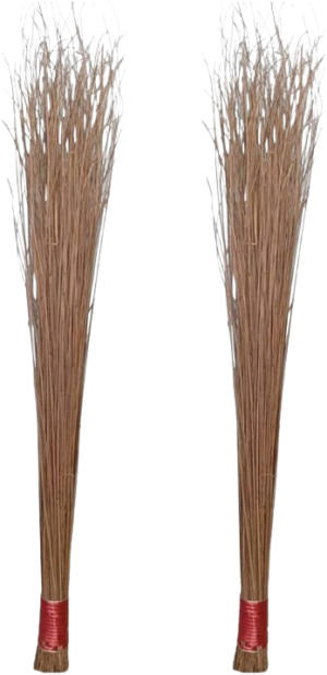 Coconut Broom